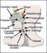 data imagen