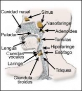 data imagen